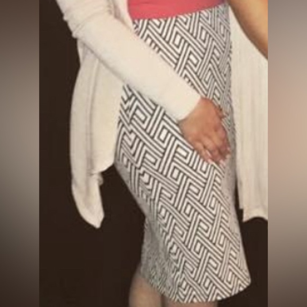 Zara fitted Pencil Skirt